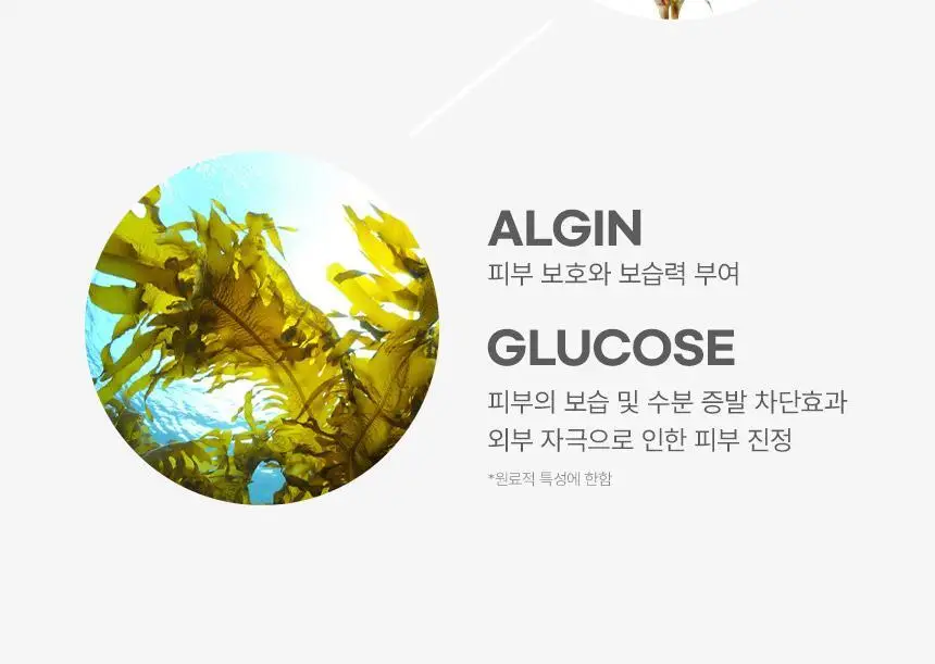 [모공개선] 유리숲 모델링팩 1회분 상세페이지 25